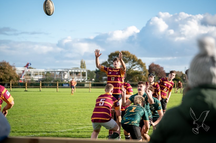 Yarm Rufc Ipswich YM RUFC - Our Club